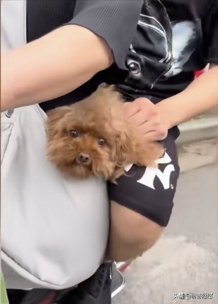 上海何时解封什么时候能正常出行,上海解封后街头