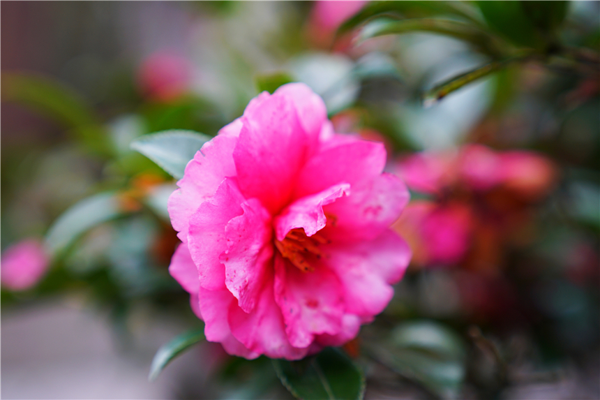 泰顺玉龙山氡泉温泉攻略,隐居山林世外桃源看夕阳