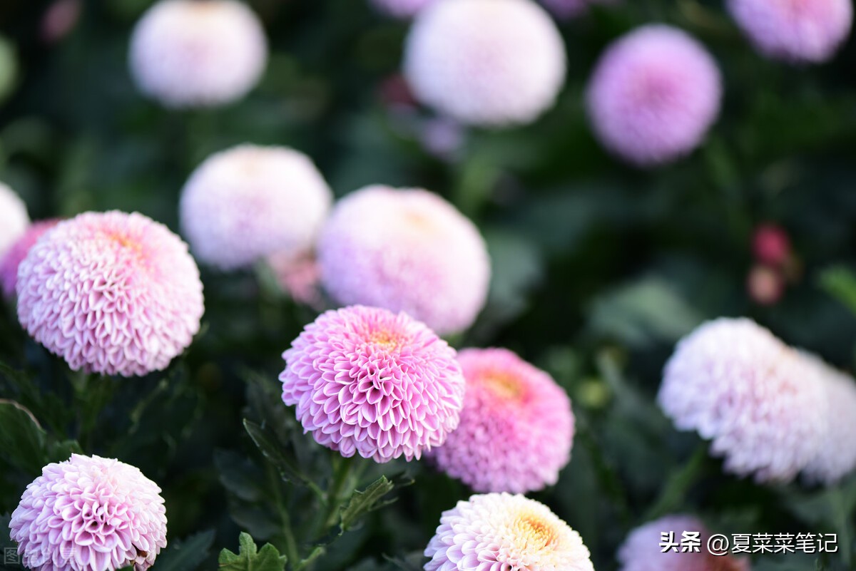 上班族可做哪些副业赚钱快,上班族做副业适合干点什么