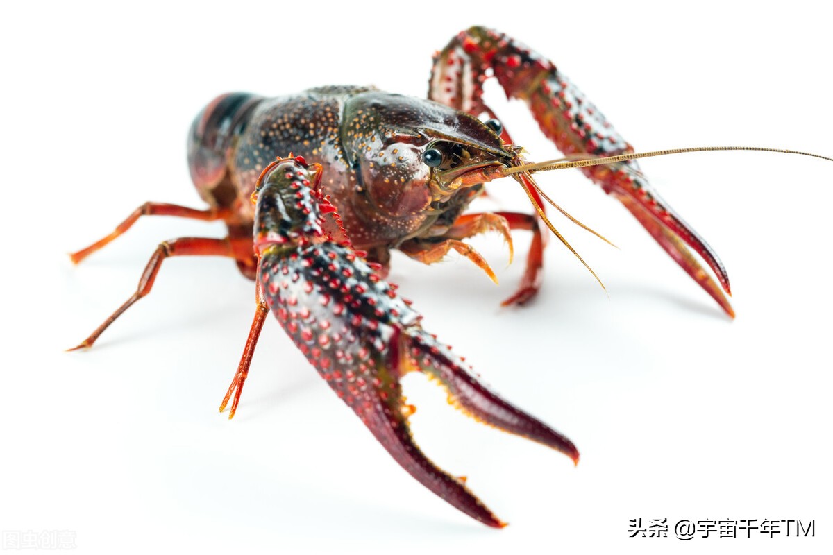 一颗精子包含多少遗传基因,精子与卵细胞结合是怎么遗传的