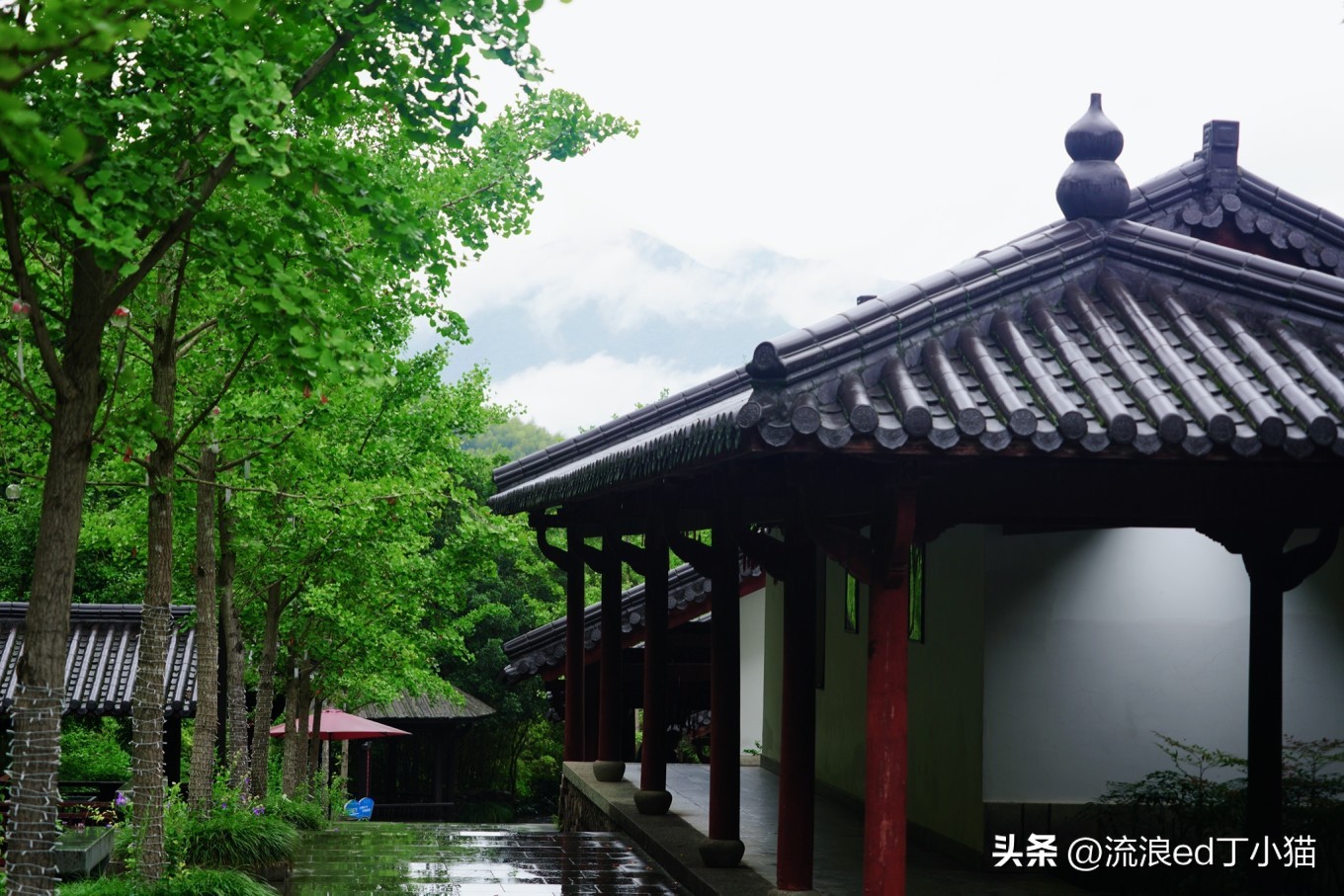 杭州周边游桐庐夏日避暑漂流攻略,桐庐夏天附近避暑最佳旅游地