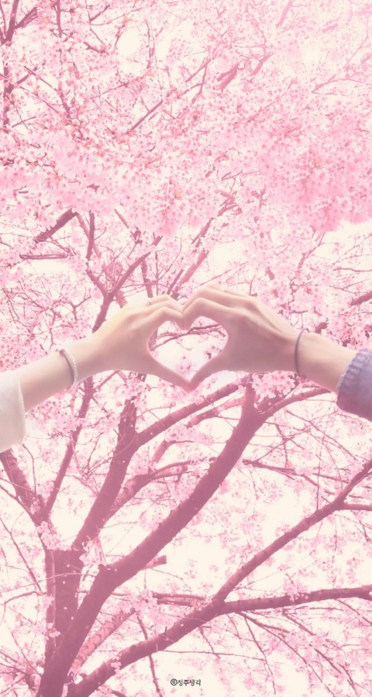 好看的的壁纸高清,好看的壁纸正方形图片