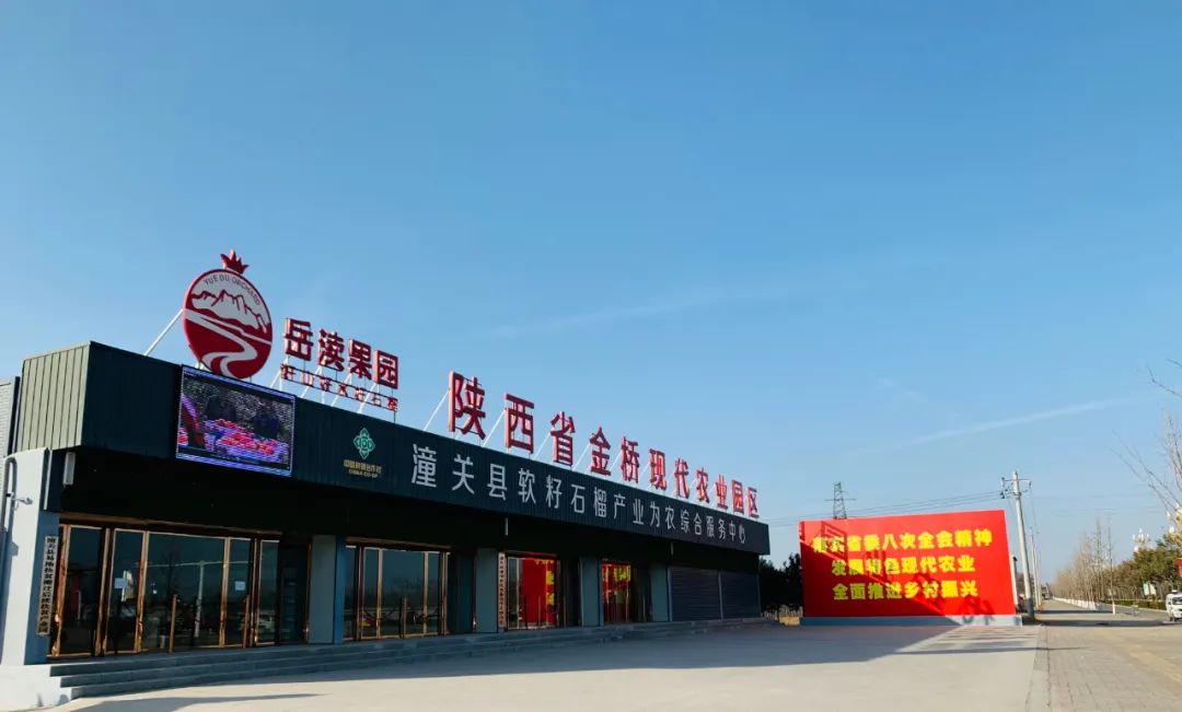 问政潼关县政府，今年将为群众办哪些事实？