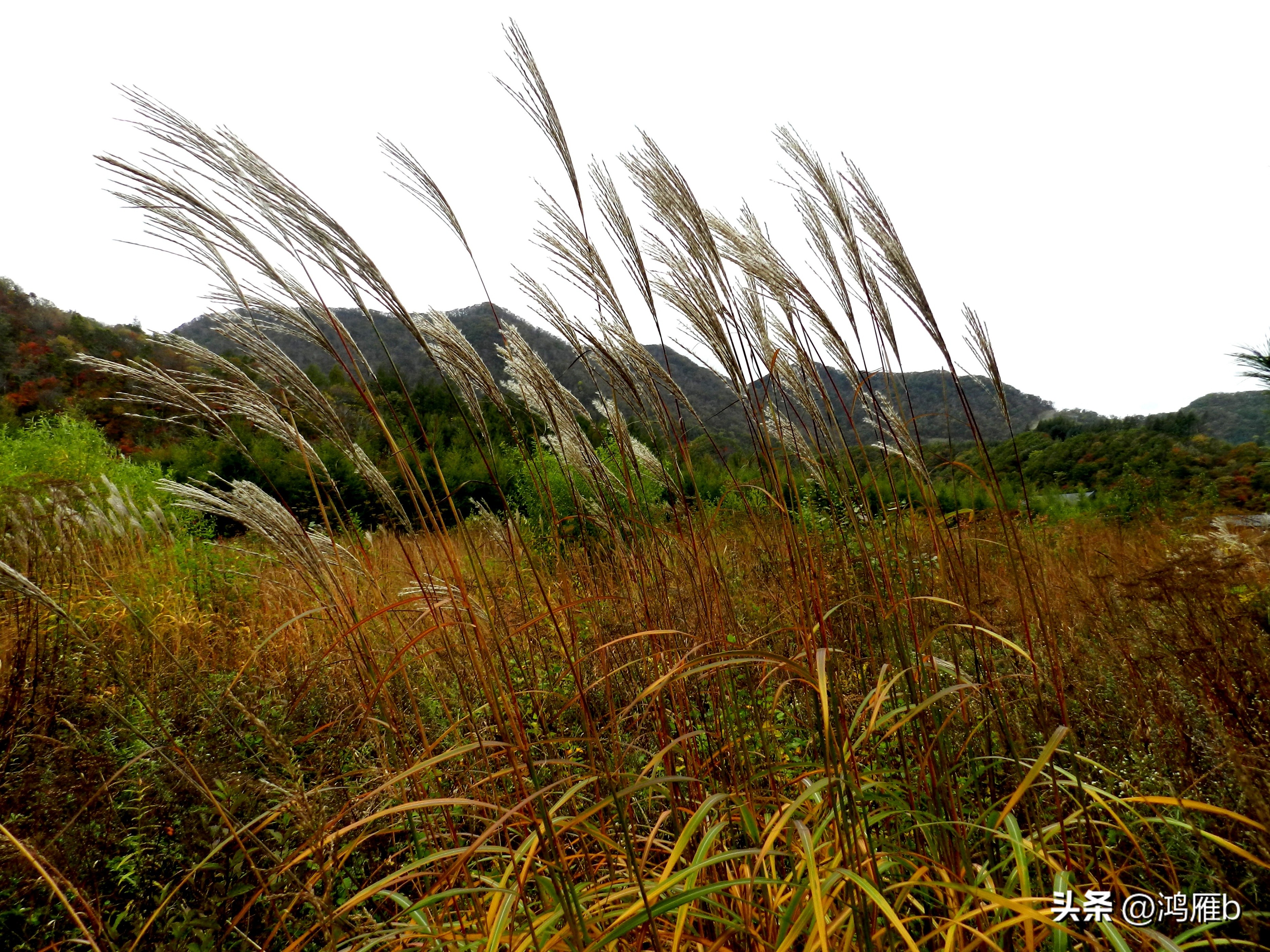 本溪温泉汤沟门票价格,本溪花溪沐枫雪温泉小镇