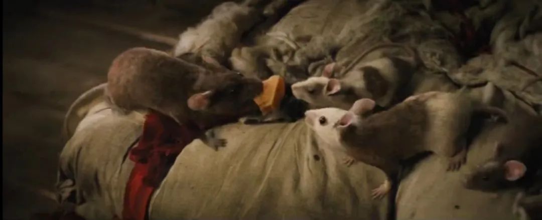 灰姑娘水晶鞋故事完整版,灰姑娘的水晶鞋童话故事