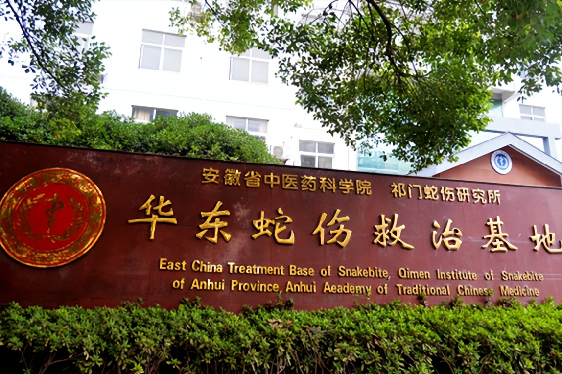 神奇黄山,神奇的黄山人间仙境