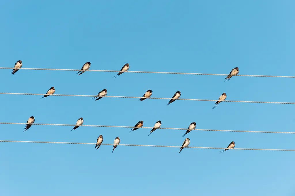 就在明天演唱,就在明天贾浩廷歌曲