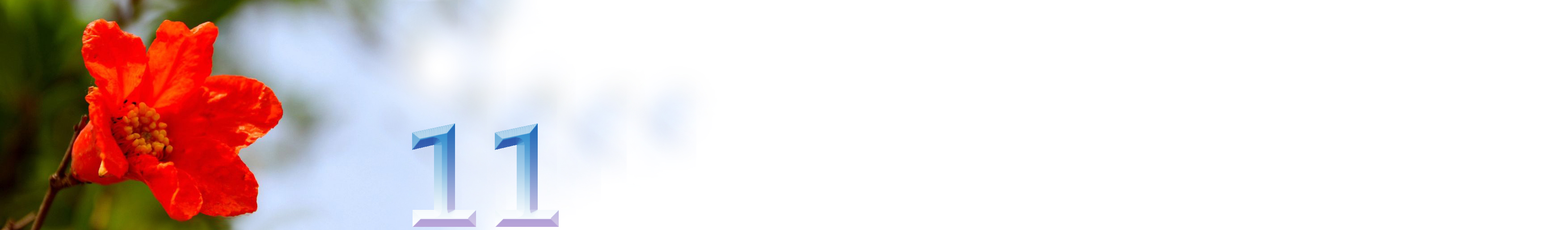 五月石榴花开的唯美诗句,关于石榴花的美文和诗句