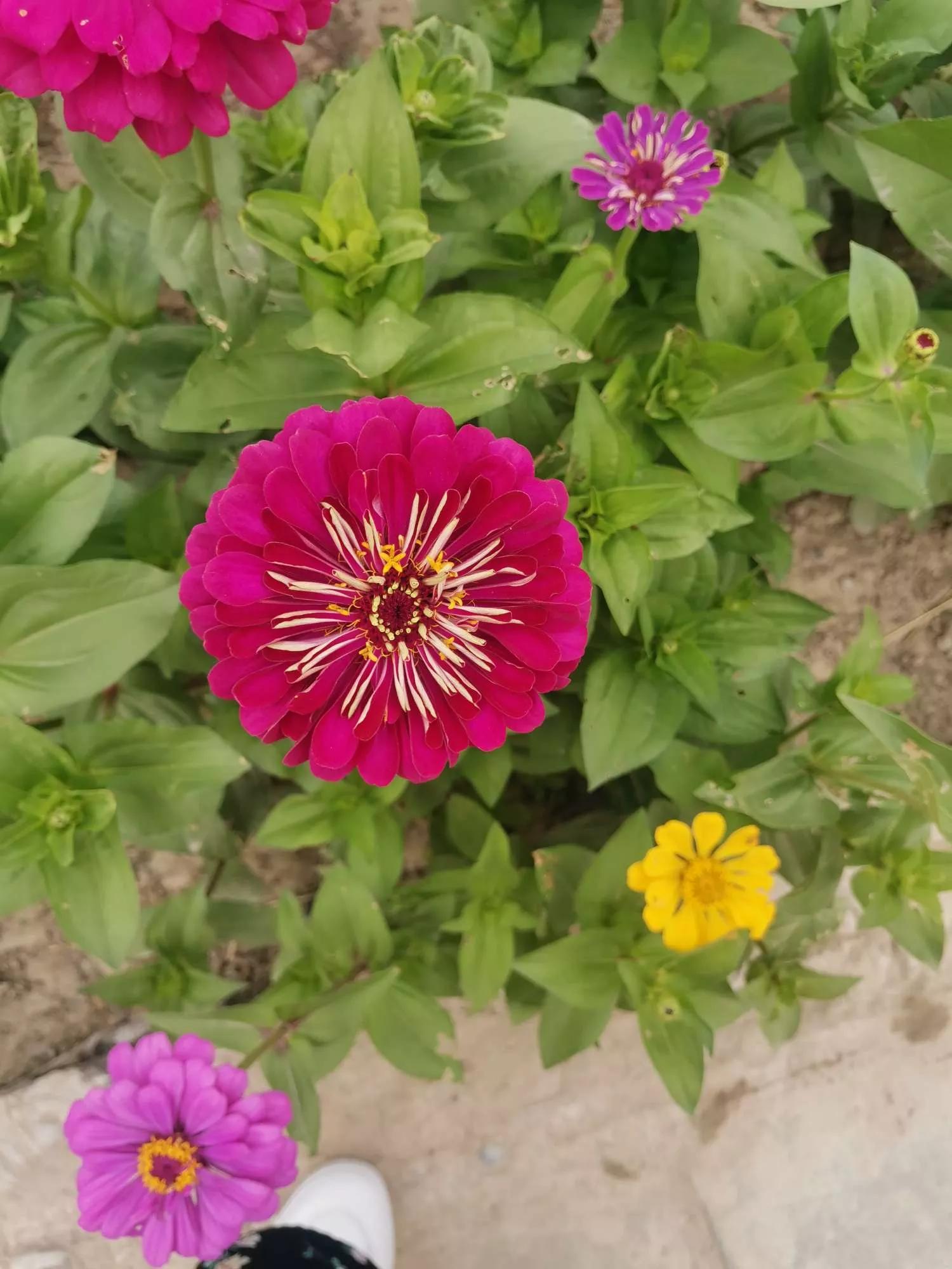 岁月斑驳留下来的都是静好时光,岁月斑驳愿时光静好