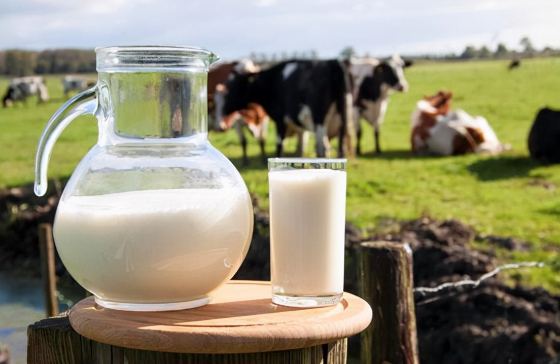 牛奶会引发早熟吗,牛奶也会导致儿童早熟吗