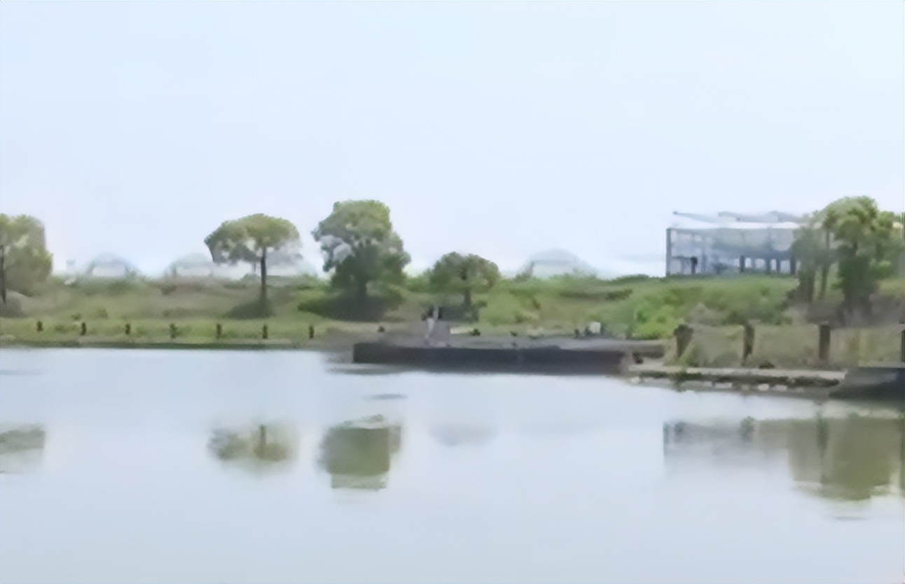 90后小夫妻回村建农场的生活视频,90后小夫妻回家种地