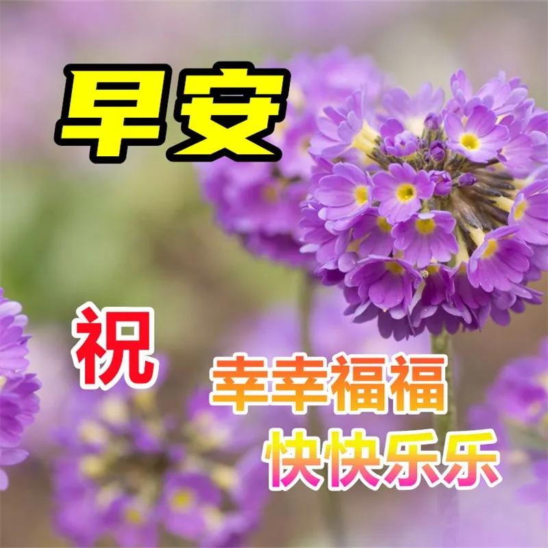 6月5日周一早安快乐！新的一天健康平安幸福安康图文