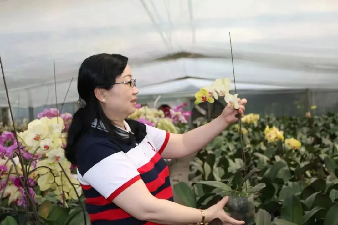 花与茶联合经营——这家500平方米的大花店，做出了一年超千万元营业额