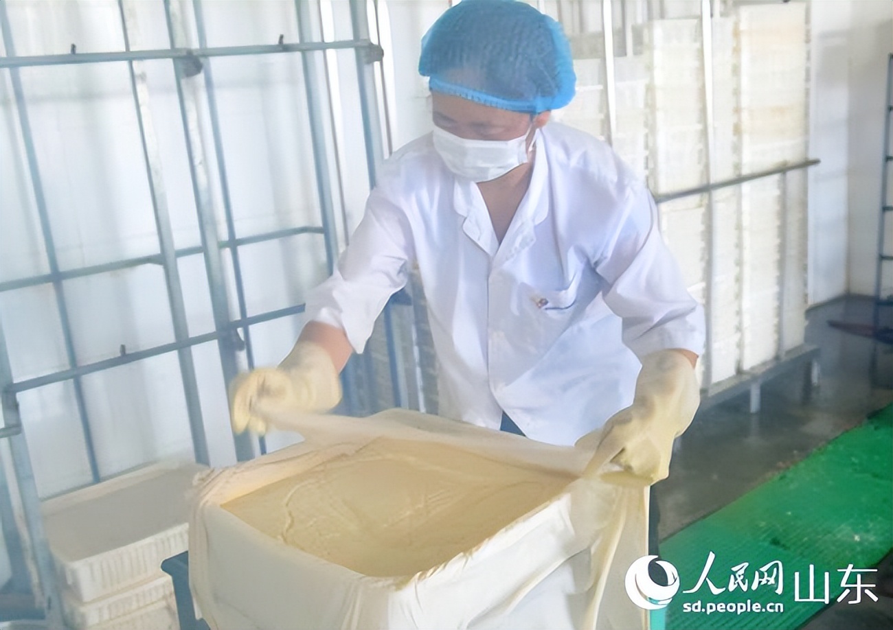 山东盐碱地农业示范基地,山东优质盐碱地改良方法