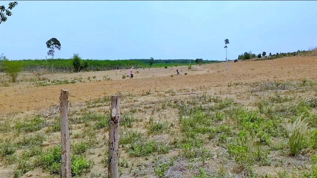 中国大叔给老挝媳妇安全感,给老挝媳妇一亿老挝币