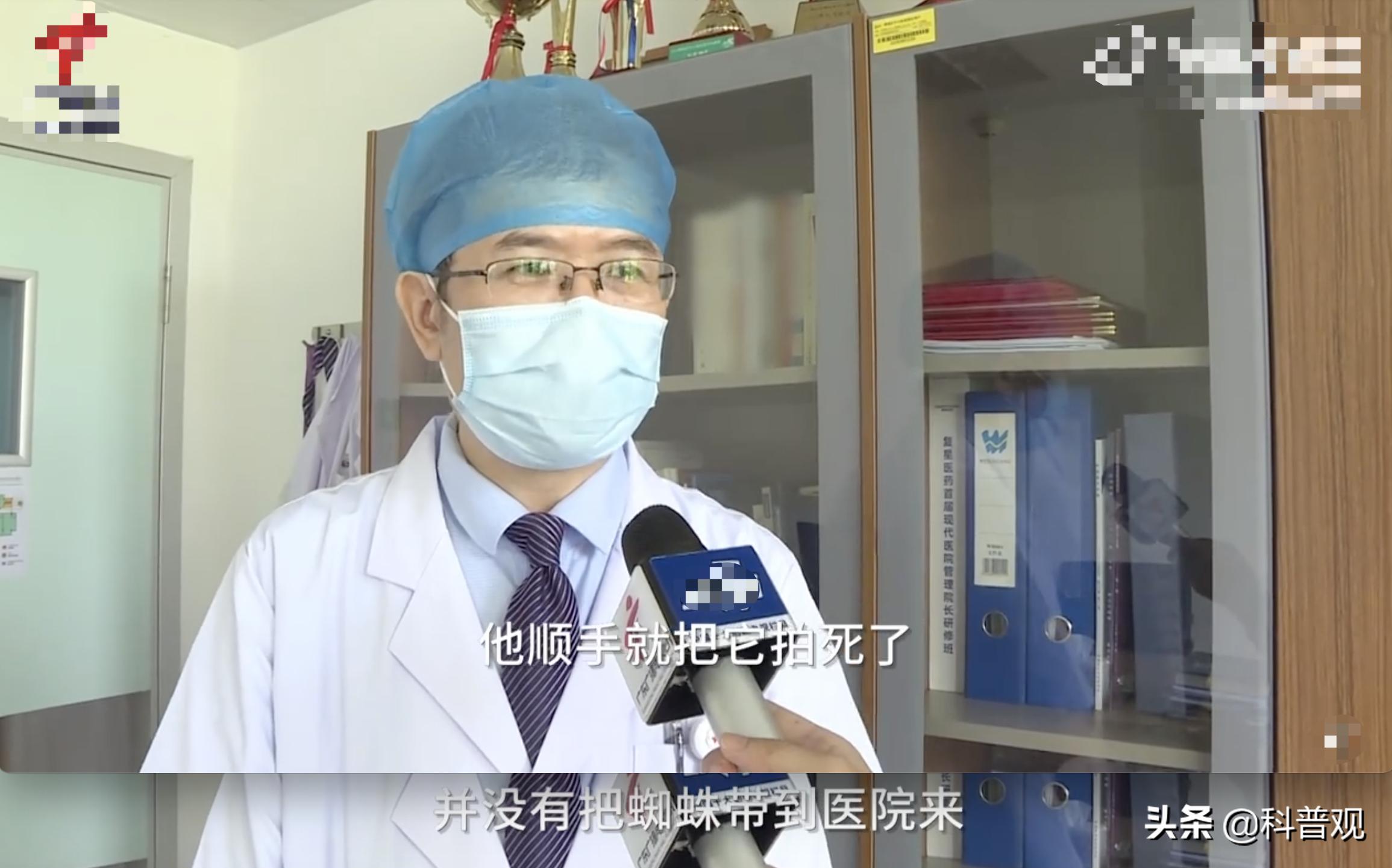 黑寡妇？广东男子被蜘蛛咬伤，手臂肿成两倍粗，一口下去差点丧命