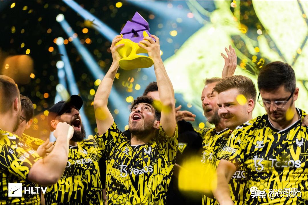 vitality夺冠,vitalitymajor全胜夺冠