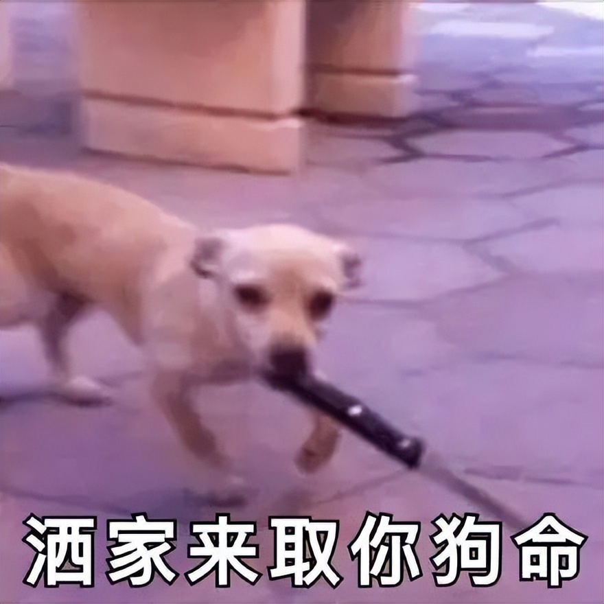 必胜客新人羊毛,必胜客必胜优选是必胜客吗