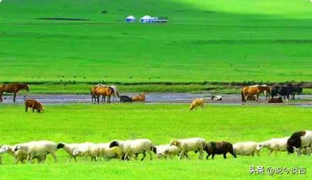 蒙古族的风土人情和民俗文化,大草原上蒙古族风土人情视频