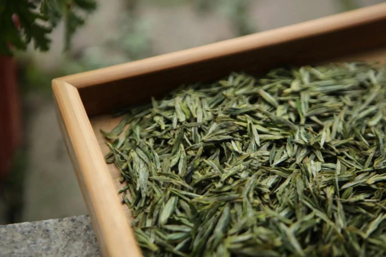入秋喝红茶还是绿茶好呢,绿茶和红茶究竟有什么区别呢