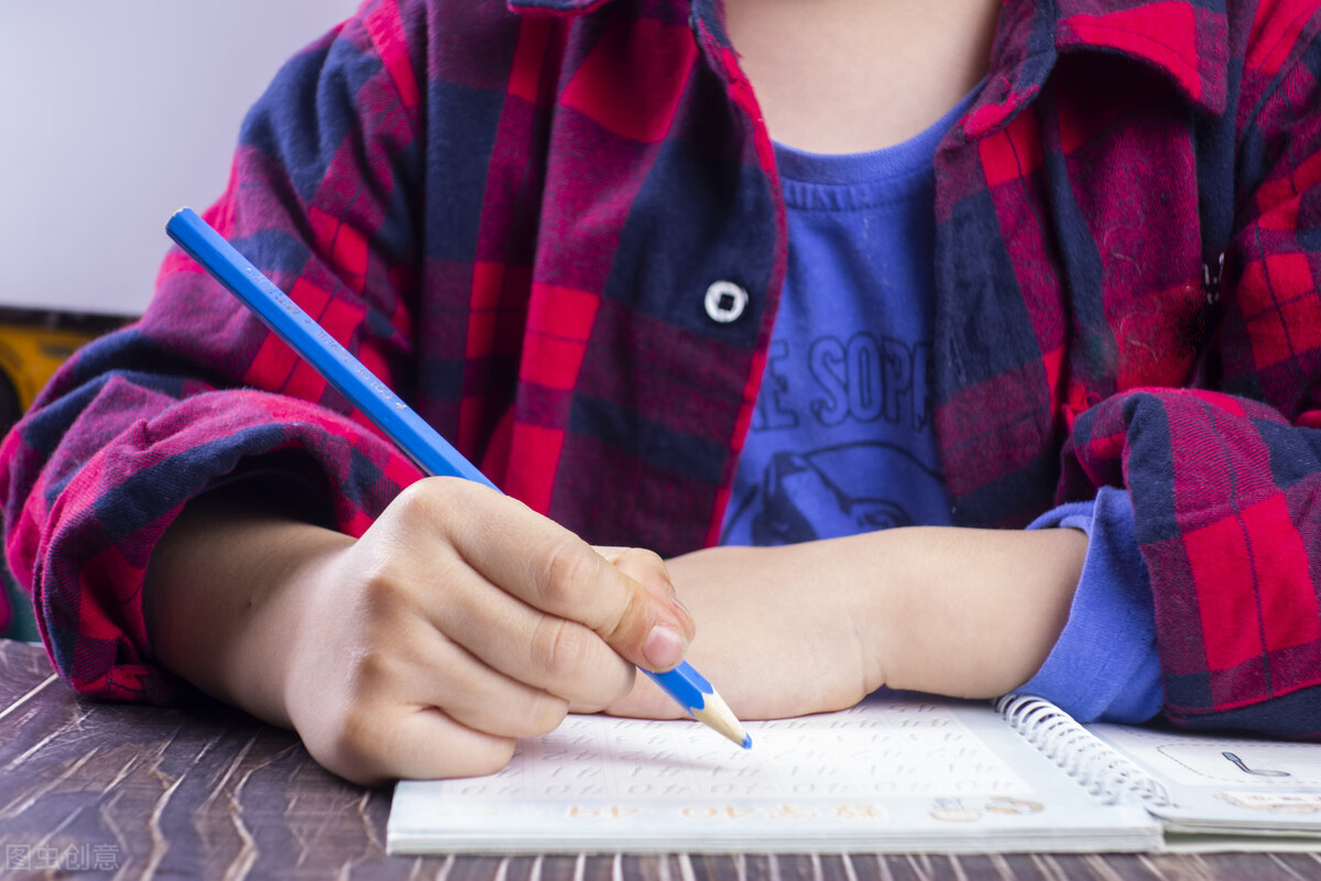 丁克与丁克族,丁克家庭对国家影响