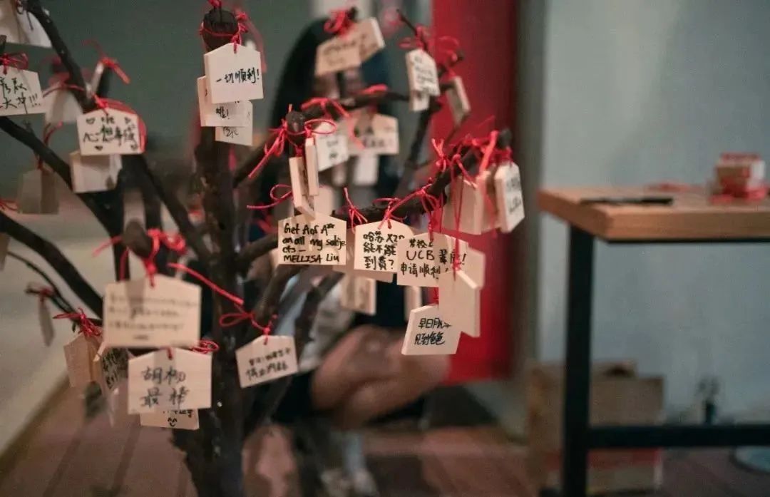 顶尖学子养成之路|跟随毕业生,了解别具一格的深国交