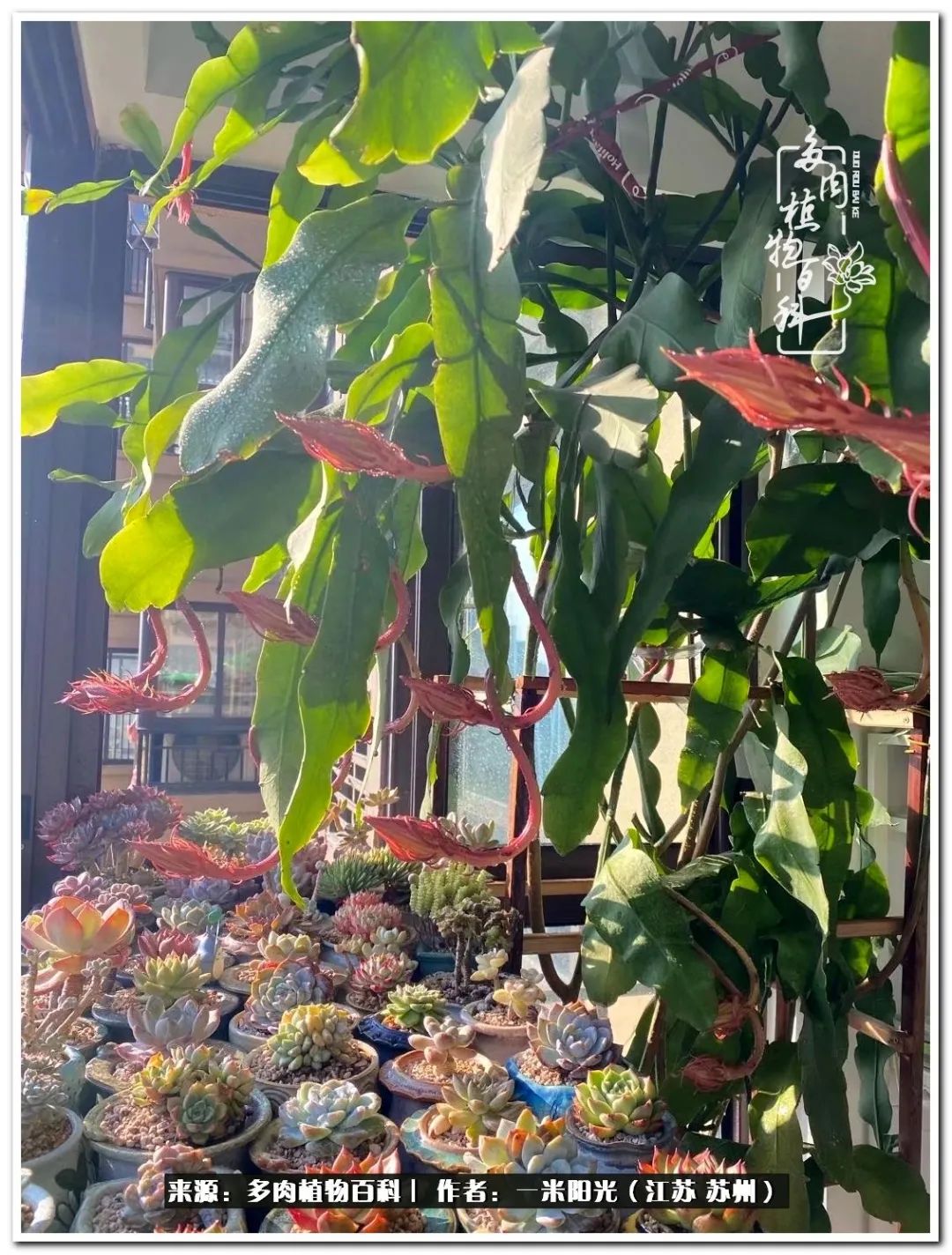 幸福就是珍惜当下所拥有的,珍惜当下所拥有的才是幸福的