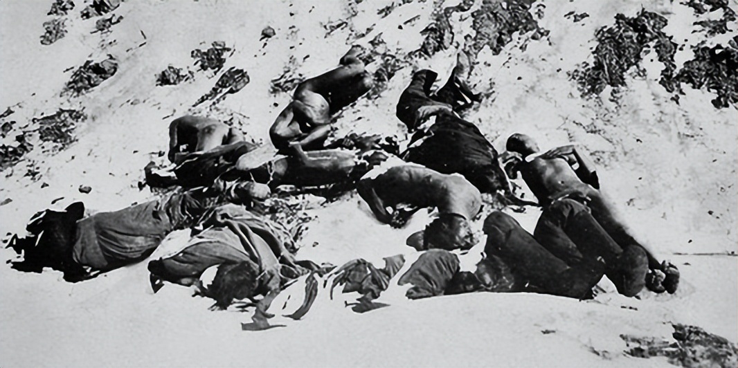 日本侵华老兵来黑龙江,日本老兵来南京和受害幸存者见面