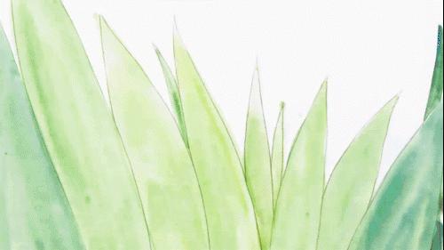 姊﹀够椋庢牸鑺卞洯,姊﹀够鑺卞洯涓紡搴櫌