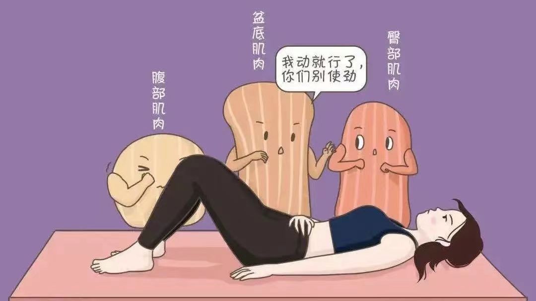 盆底康复治疗的作用是什么,盆底康复的好处