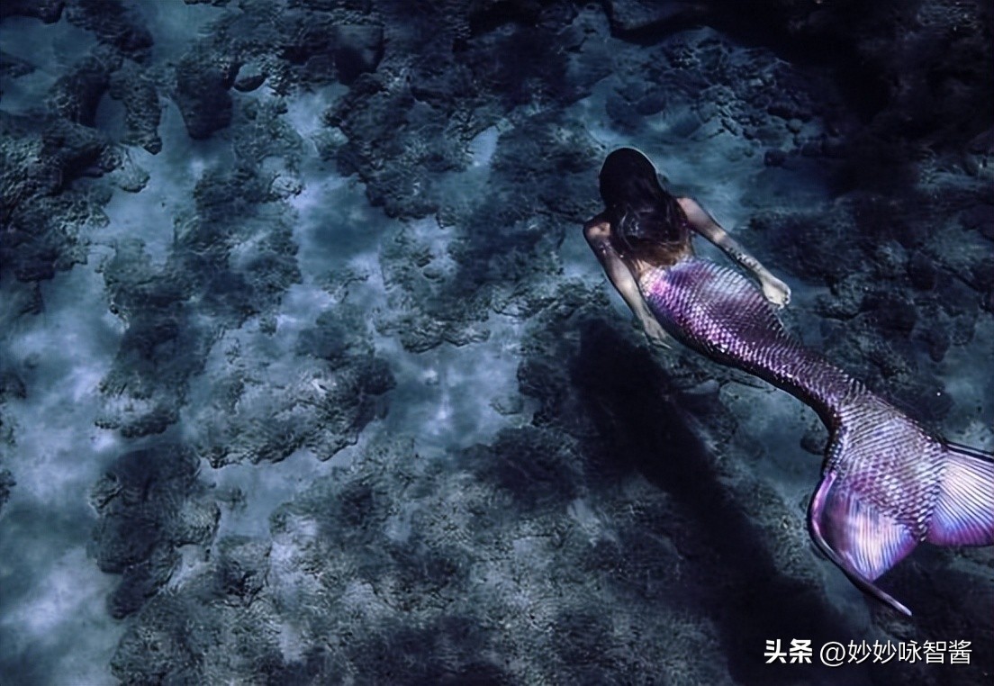 美人鱼的现实原型,美人鱼现实中的原型