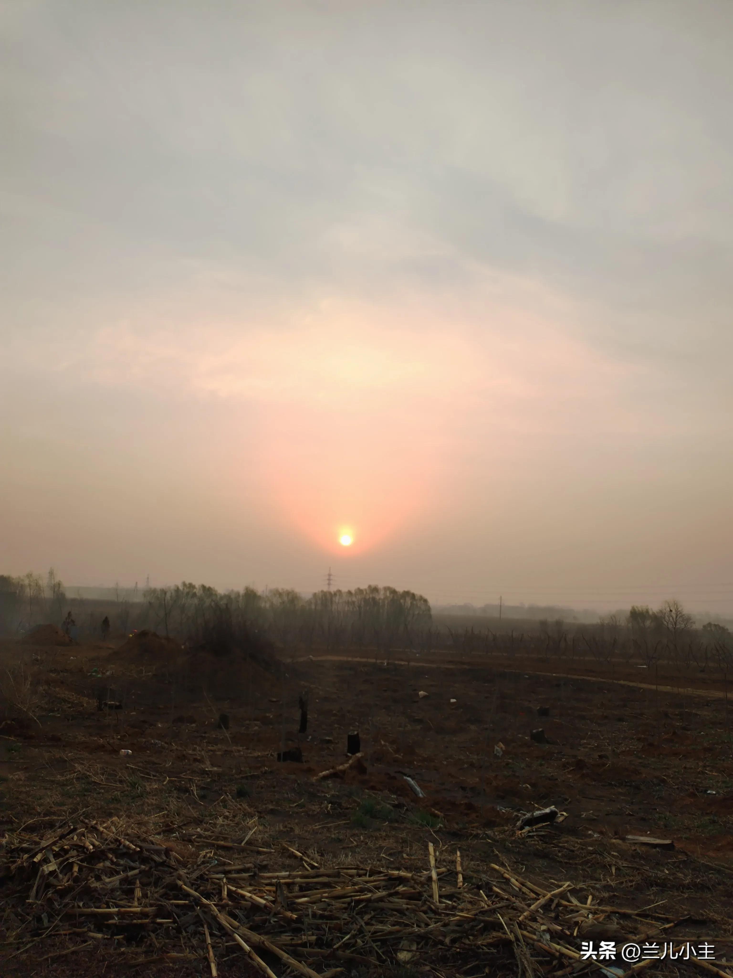 清明节习俗日记10字左右,清明节习俗简短100字