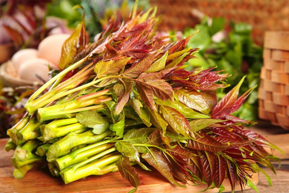 香椿是养生还是致癌的,香椿的致癌功效