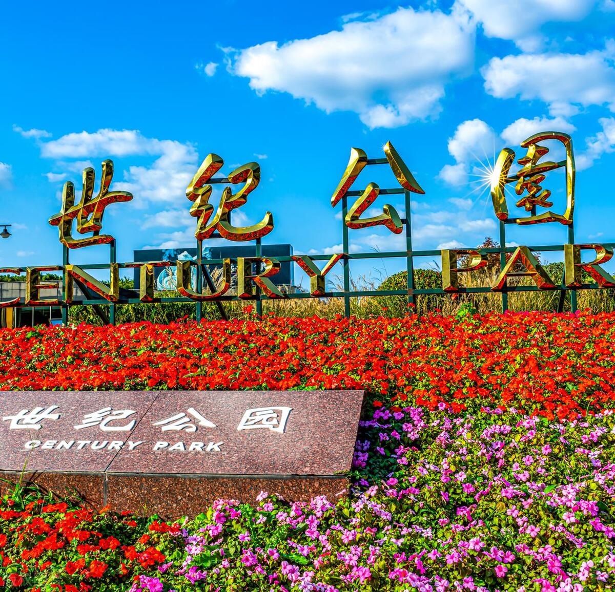 涓婃捣鍗佸ぇ璧忔鍦扮偣鎺掑悕,涓婃捣鍗佸ぇ璧忚姳鍏洯