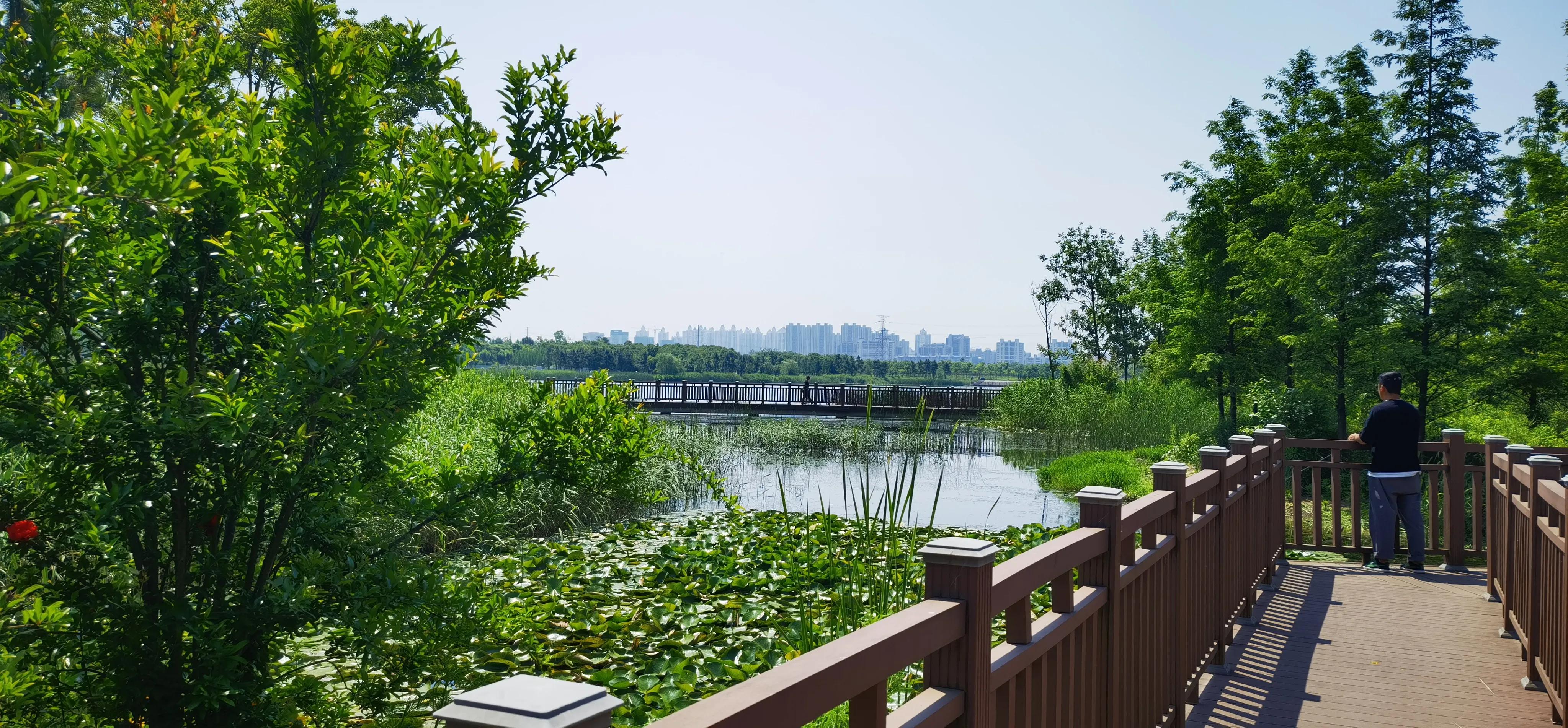 合肥附近带两个娃去哪里玩,推荐带娃好去处周末合肥