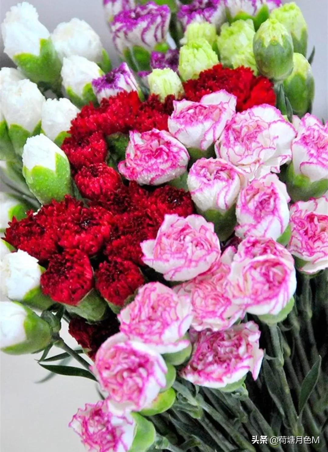 母亲节送给母亲一朵康乃馨,母亲节亲手做一朵康乃馨送给妈妈