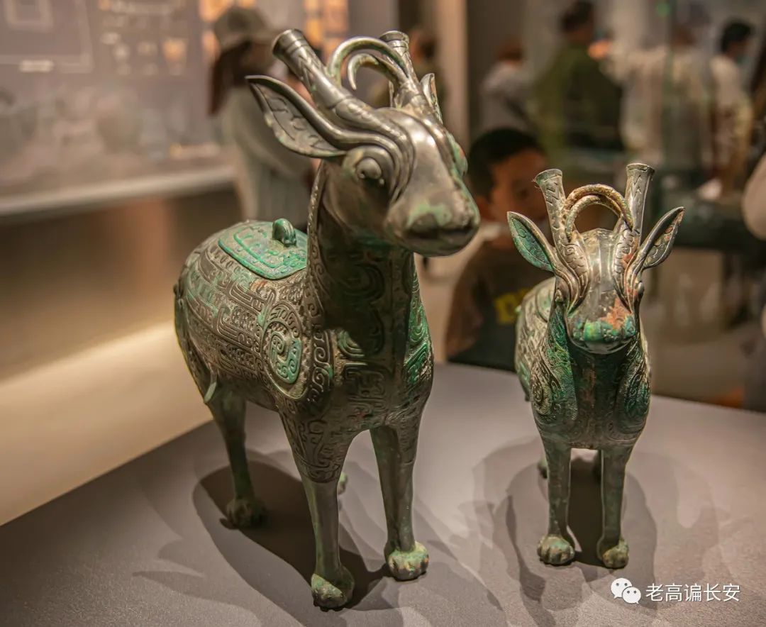 假期参观陕西考古博物馆,陕西考古博物馆开馆直播