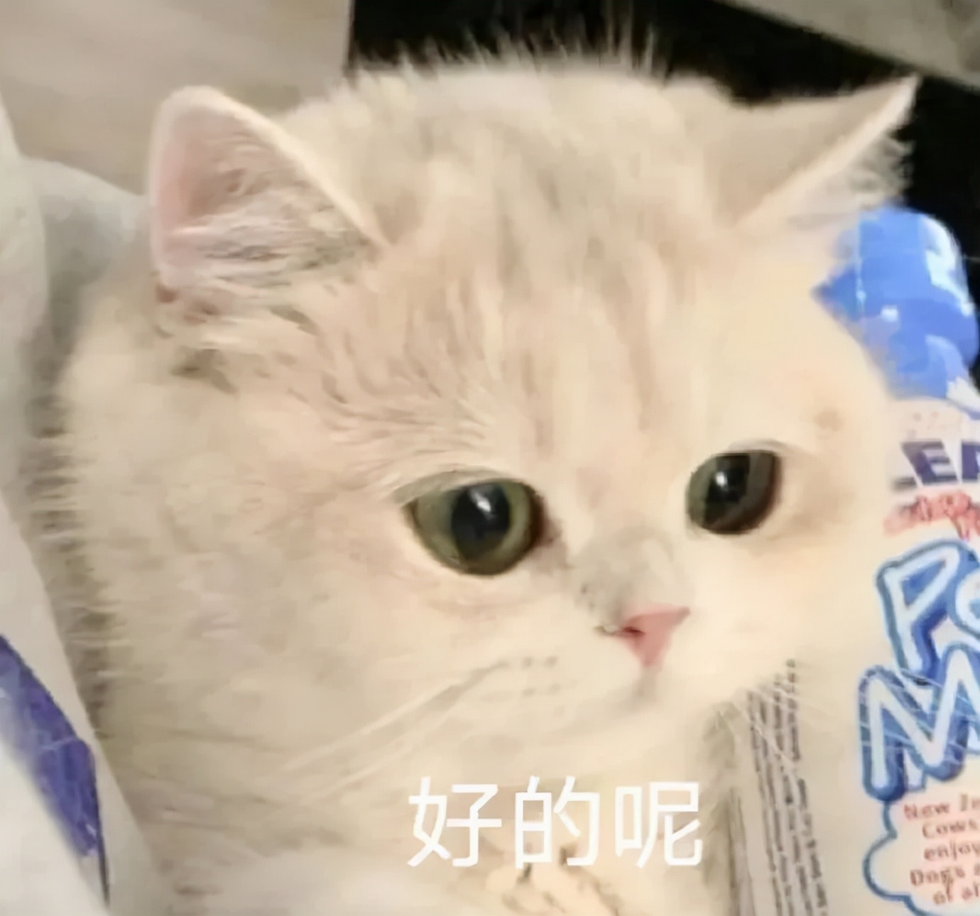 上海学生一身衣服价值127万,上海一学生穿100万衣服真的假的