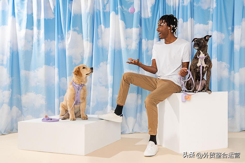 牵狗绳大型犬一元,牵狗绳200元以上