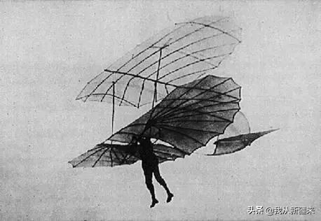 新疆哈密翼龙,天山哈密翼龙