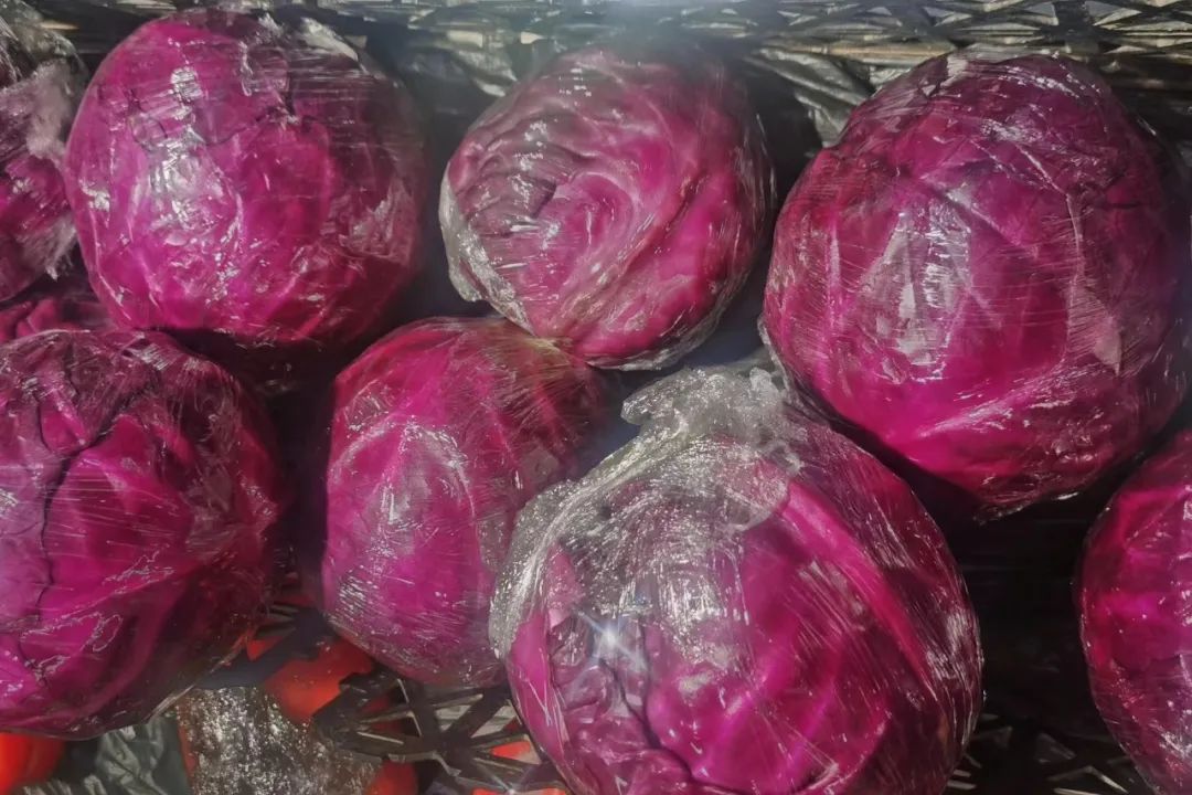 和紫甘蓝一样的蔬菜,常吃紫甘蓝蔬菜有什么好处