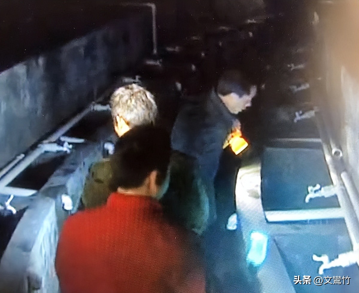 张家界甲鱼价钱表,张家界甲鱼