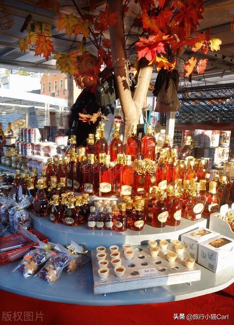 加拿大旅游攻略穷游网,加拿大旅游攻略14天自由行