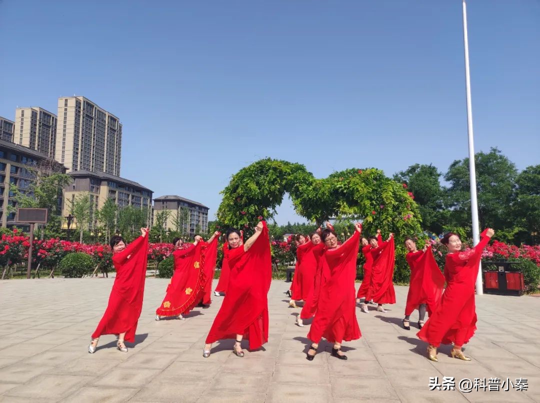 鐐僵鐢熸椿,绀惧尯绀句細缁勭粐椋庨噰灞曠ず娲诲姩