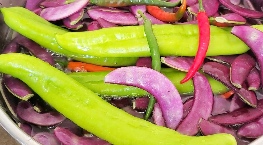 这种野菜做成凉菜非常好吃,美味下饭野菜新做法