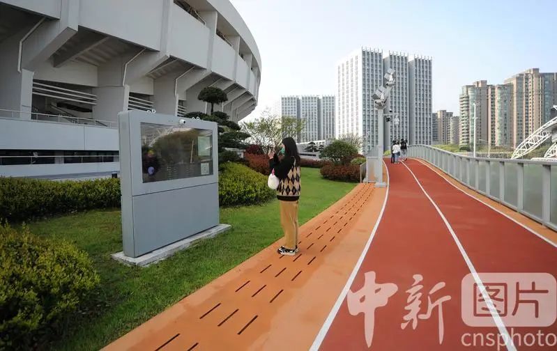 亚运会黄龙体育中心观众视角,亚运奥体中心观赛