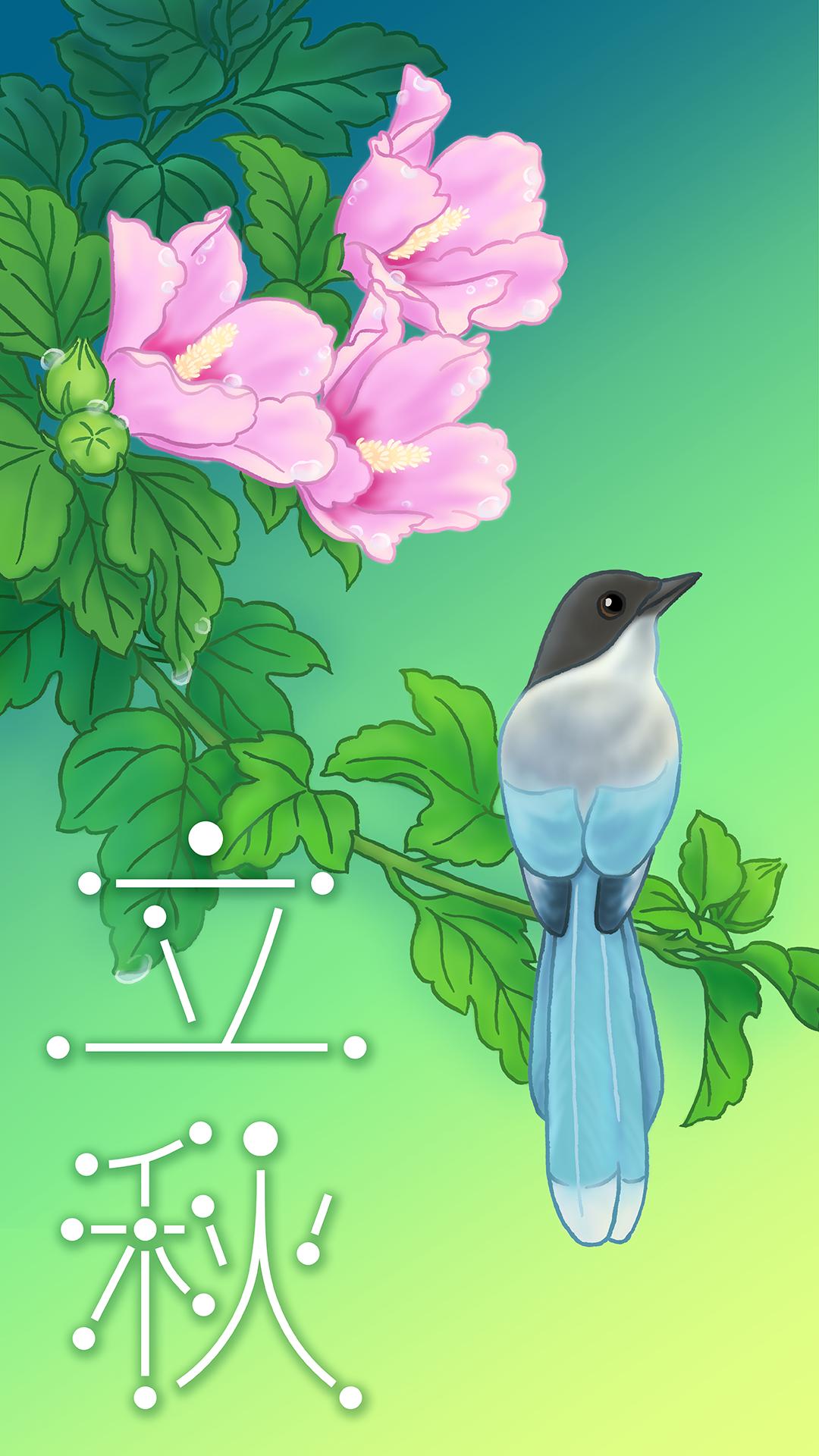 英仙座流星雨在8月14能看到吗,2021年8月14日英仙座流星雨