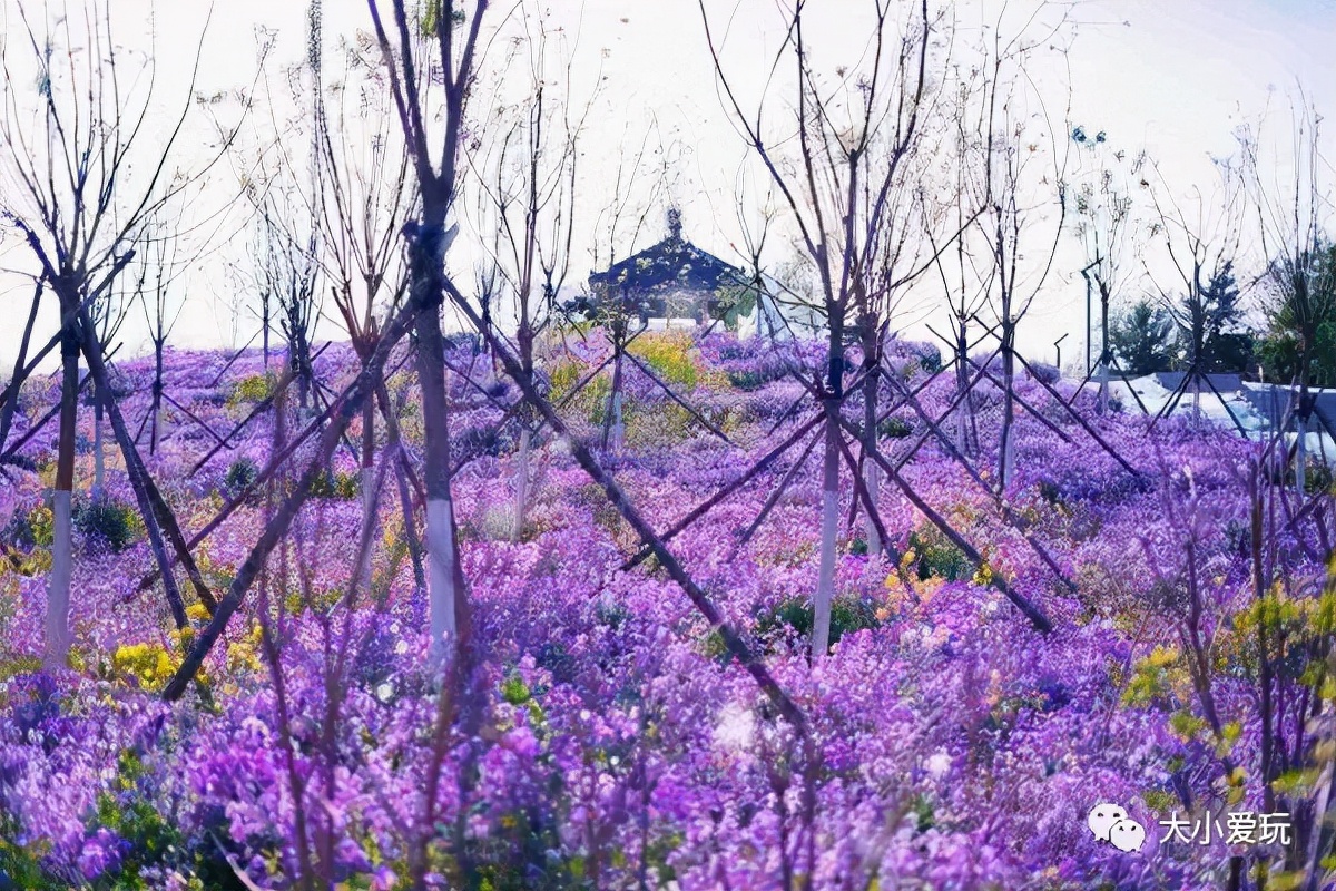 北京花海休闲公园,帝都游乐场