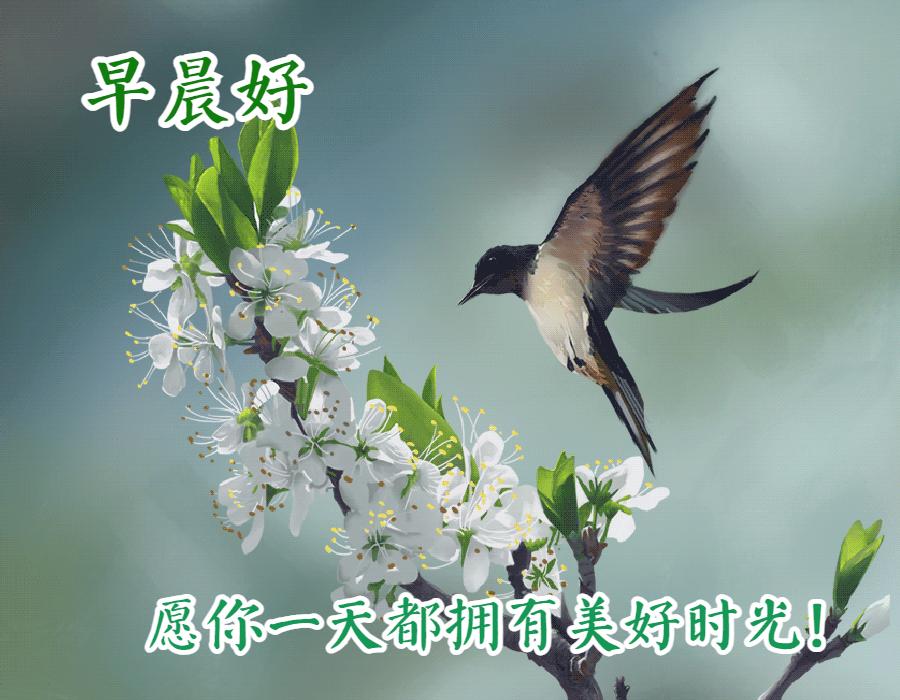 早安心语正能量语录简短句子图片,2020.12.9早安心语正能量走心语录