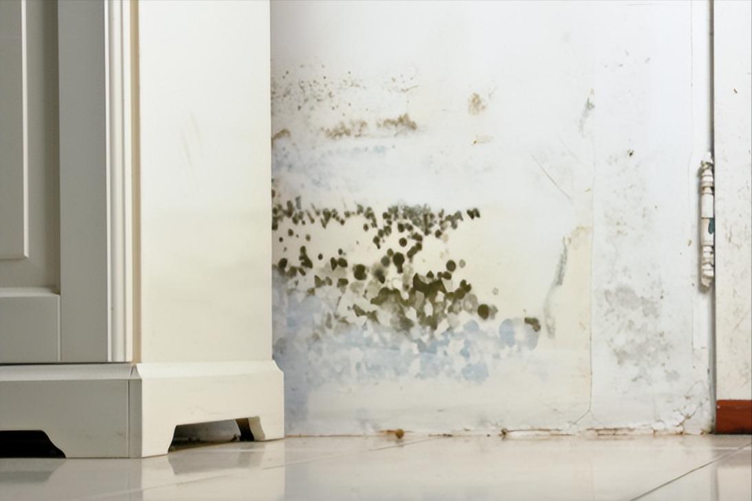 住了多年的墙面脏了怎么清洁,84消毒水加什么可以除墙面霉菌